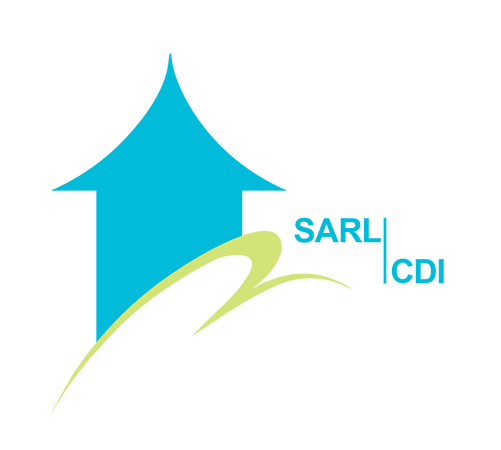 ANGELIQUE DAMOUR - projet SARL CDI - logo