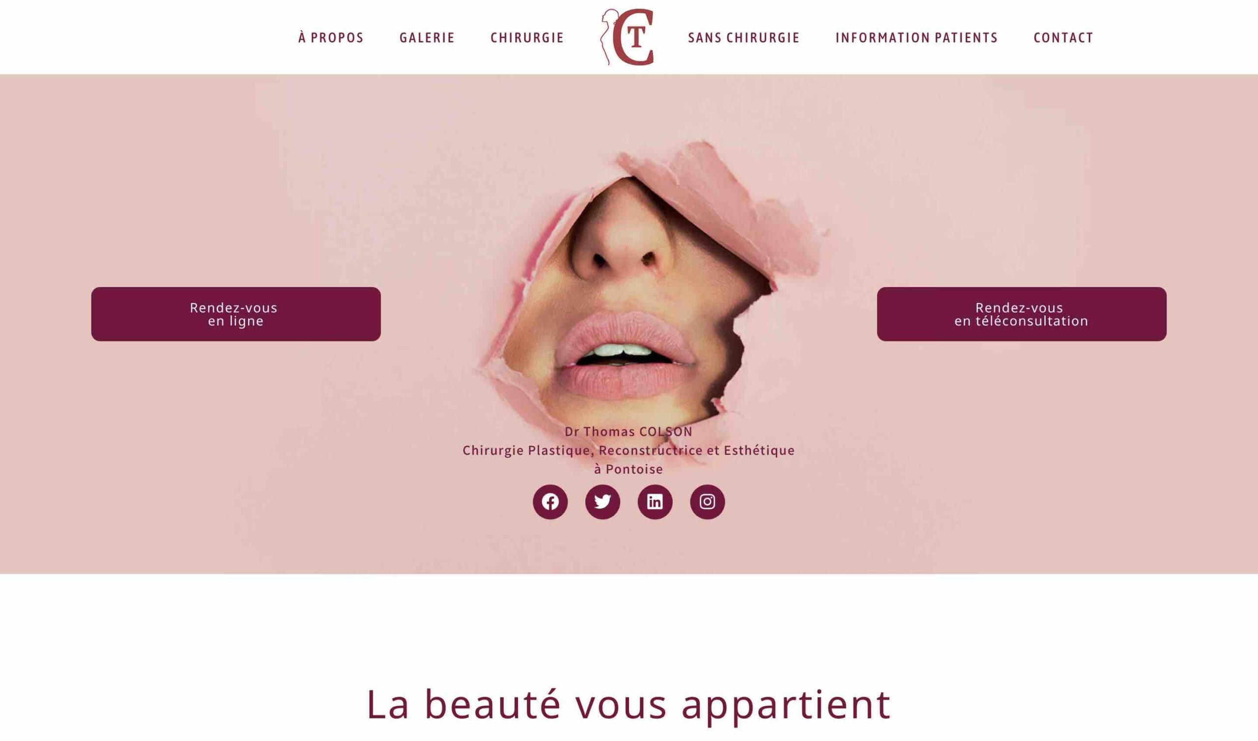ANGELIQUE DAMOUR - projet DR COLSON - home page