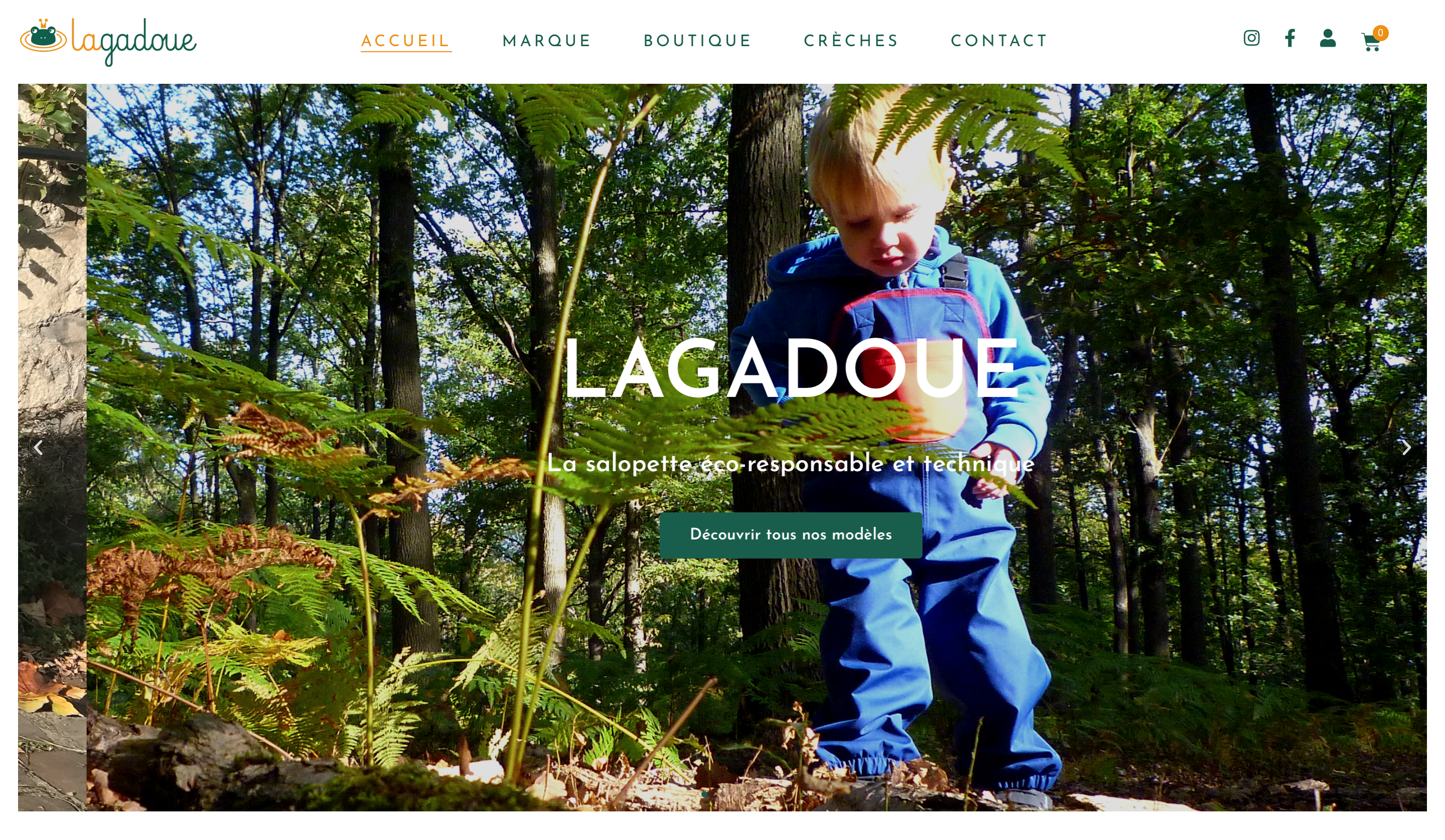 ANGELIQUE DAMOUR - projet LAGADOUE - home page 2