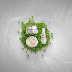 ANGELIQUE DAMOUR - Projet ESTEE LAUDER Premium